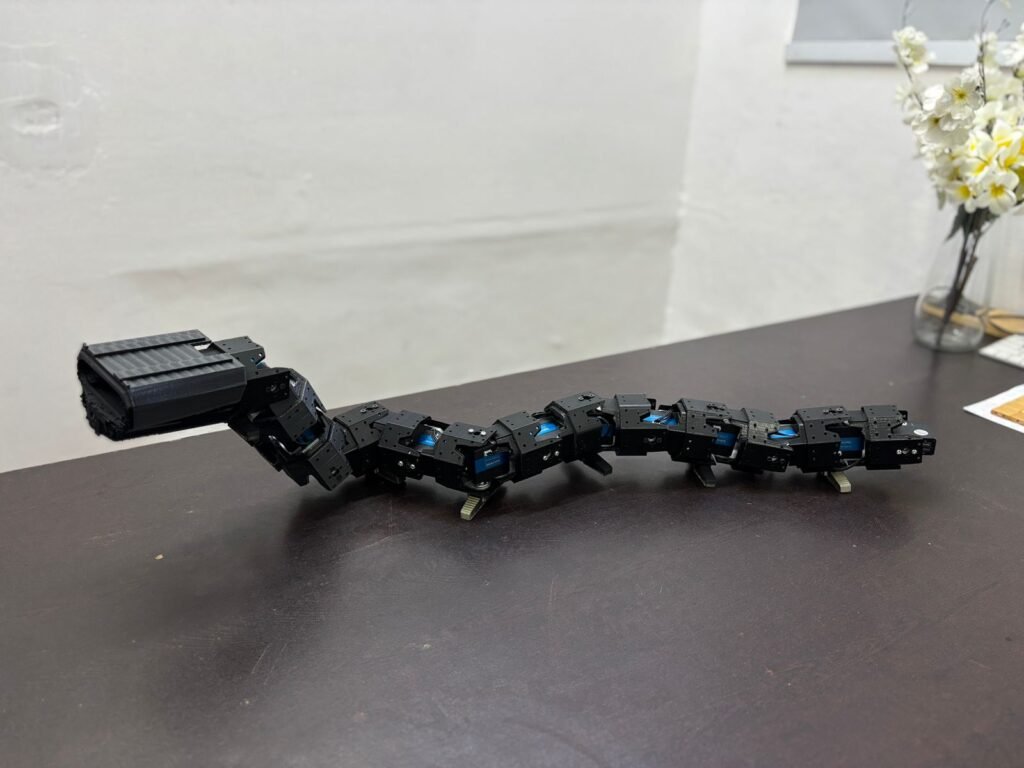 Collapsed Building Search Assistive Robot (COBRA)