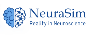 NeuraSim
